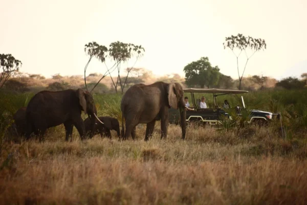 10-Day Kenya Adventure Safari