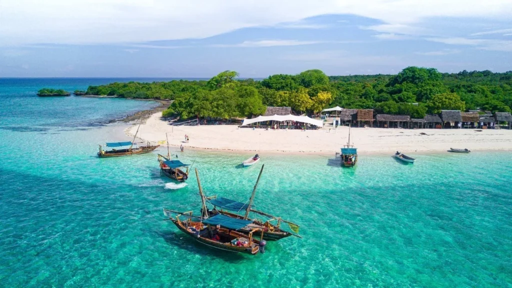10-Day Tanzania Wildlife Safari & Zanzibar