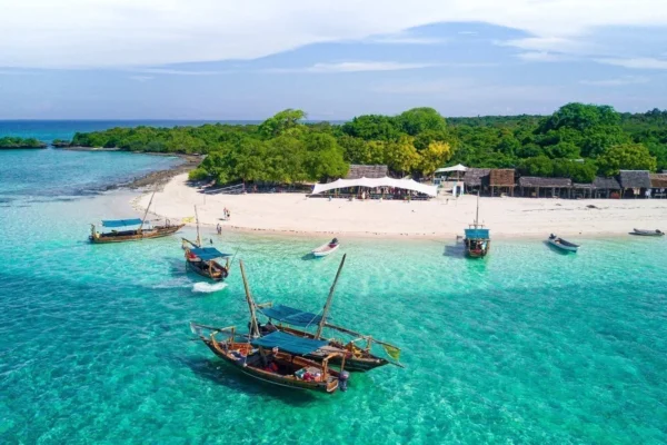 10-Day Tanzania Wildlife Safari & Zanzibar
