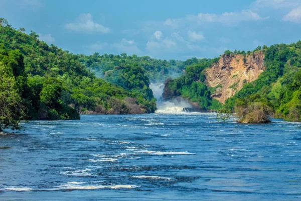 3 Days Murchison Uganda Big Five Safari