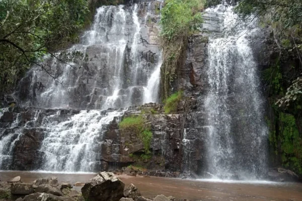 4-Day Chimpanzee Tracking, Karera Falls, and City Tour 4-Day Chimpanzee Tracking, Karera Falls, and City Tour