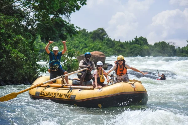 6-Day Uganda Gorilla & White-Water Rafting Tour