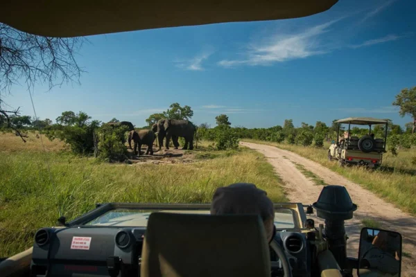 7 Days Uganda Game Drives & Gorilla Safari 7 Days Uganda Game Drives & Gorilla Safari