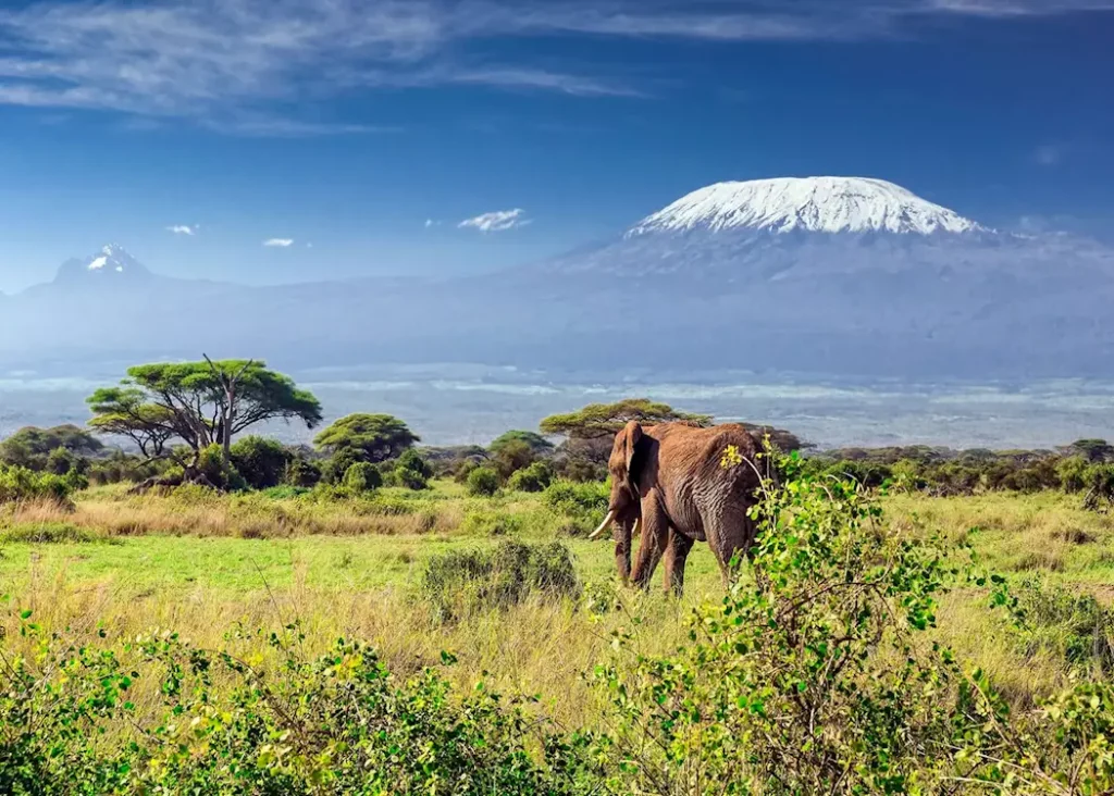 Mount Kilimanjaro