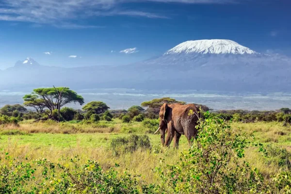 Mount Kilimanjaro