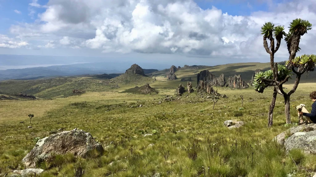 Aberdare National Park