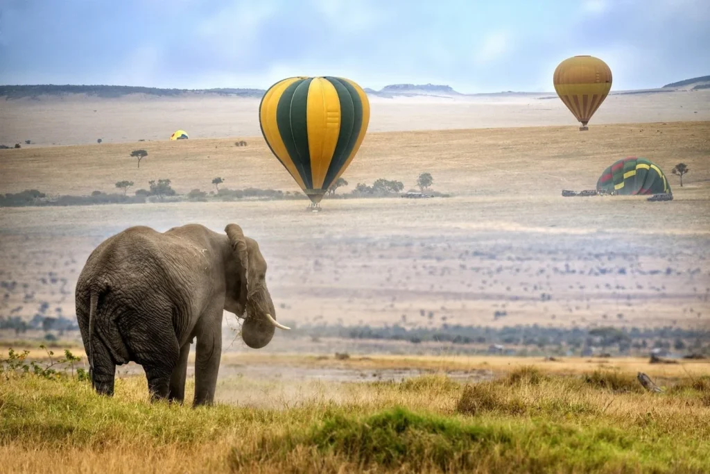 Hot Air Balloon Safaris