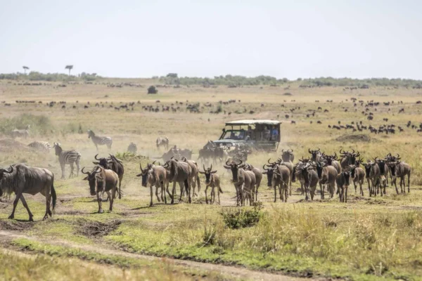 Maasai Mara National Reserve