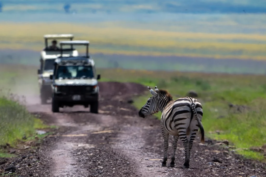 12-Day Tanzania Wildlife Safari