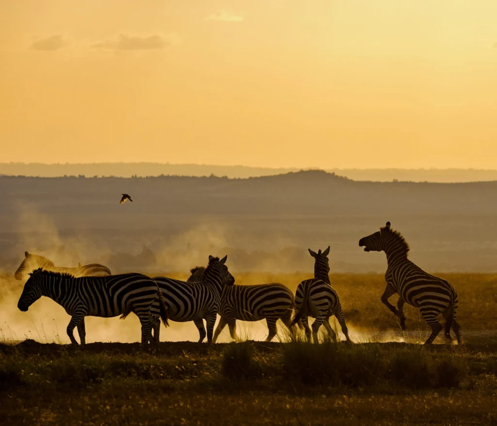 9-Day Unforgettable Kenya Game Drive Safari