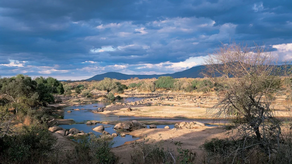 Ruaha National Park