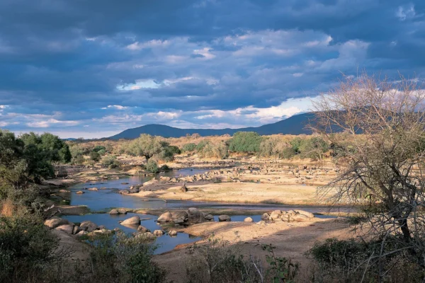 Ruaha National Park