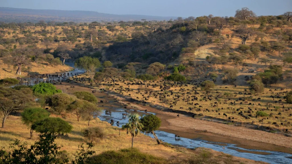 Tarangire National Park