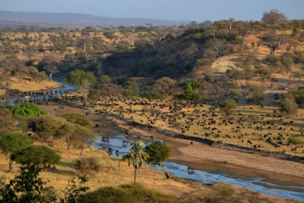 Tarangire National Park