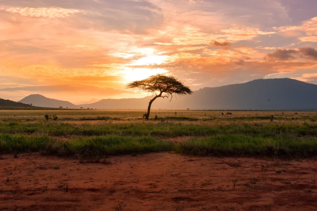 Tsavo National Park