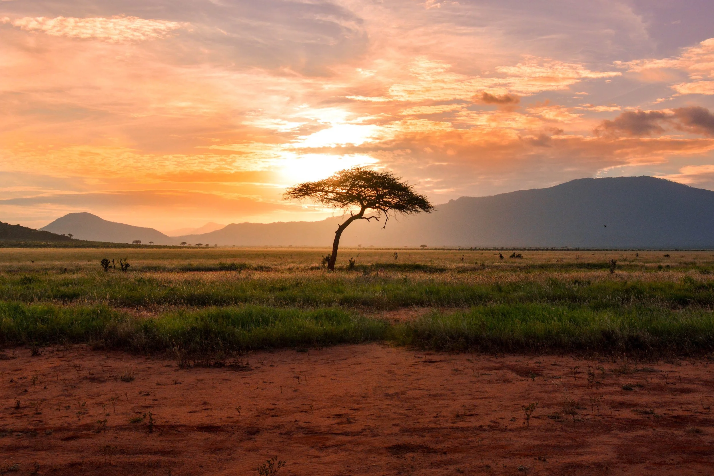 Kenya National Parks
