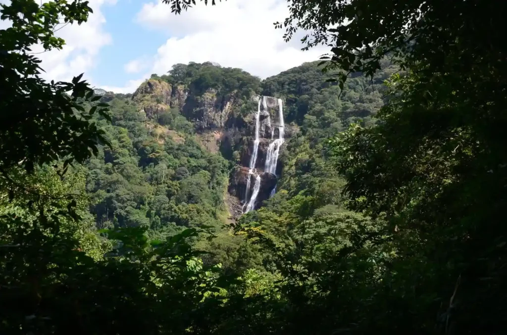 Gombe Stream National Park