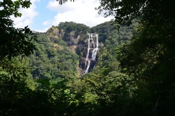 Gombe Stream National Park