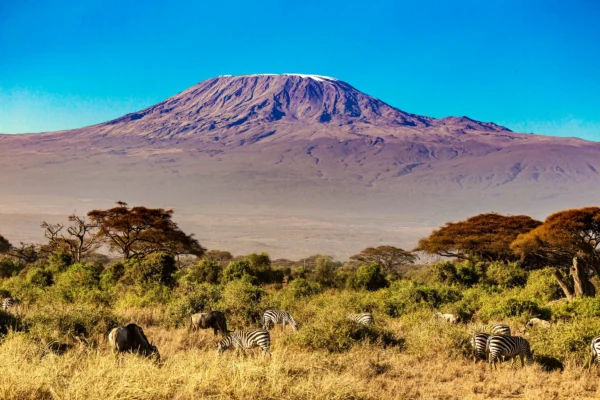 Amboseli National Park