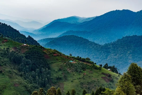 Uganda National Parks