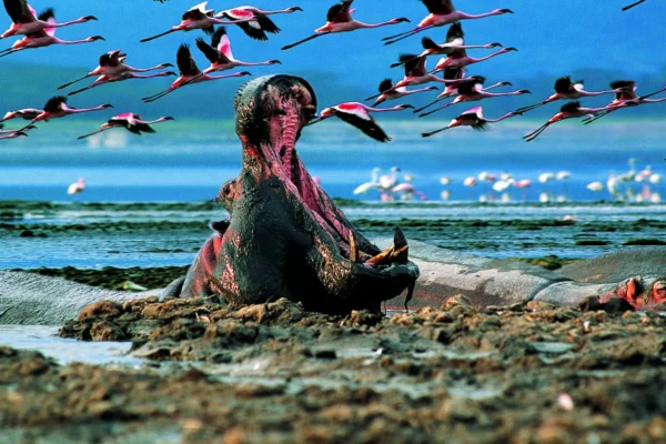Lake Nakuru National Park