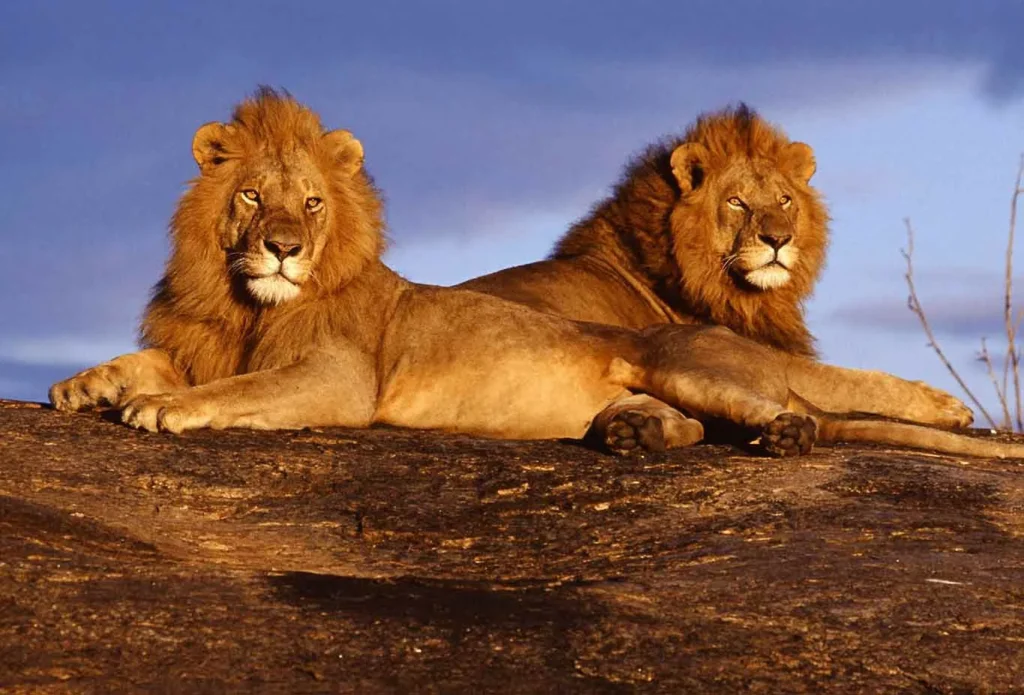 Tsavo National Park